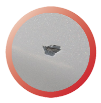 сколы